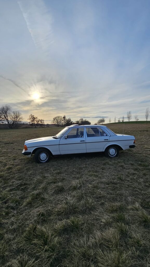 Mercedes W123 / E230E / Sehr schöner Zustand