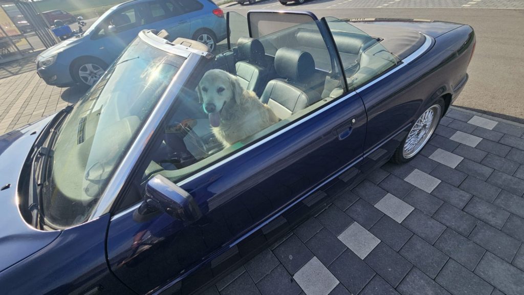 Audi 80 Cabrio * TÜV NEU * Bald Oldtimer *