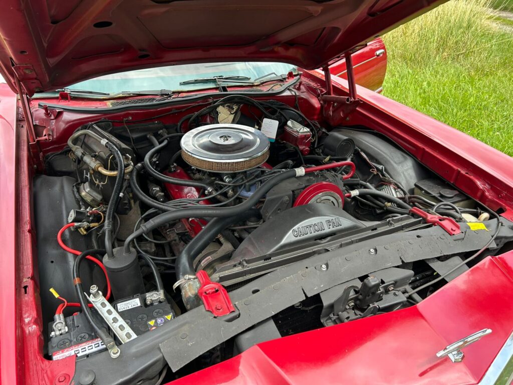 Ford Thunderbird V8