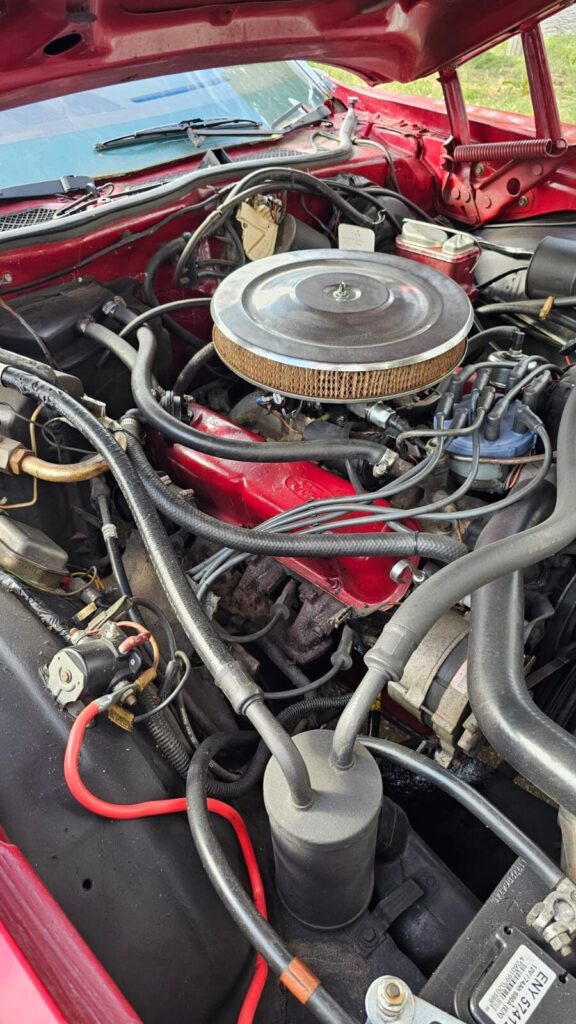 Ford Thunderbird V8