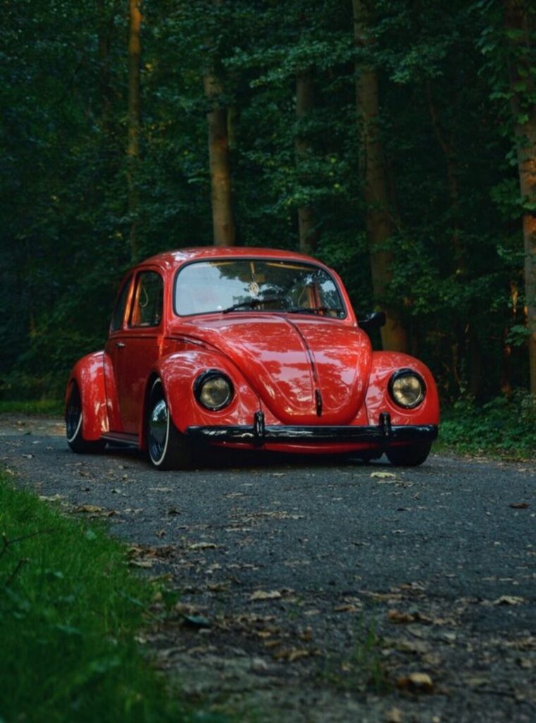 Käfer 1200