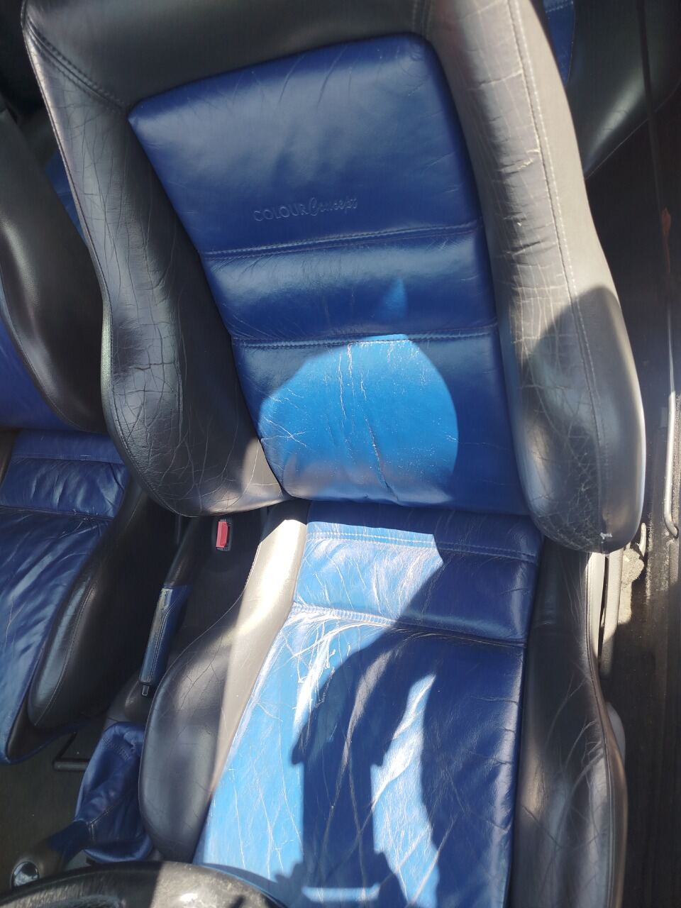Polo 6n color conzept Lederausstattung Blau