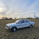 Oldtimer Mercedes-Benz W123 1979 zum Verkauf oder Tausch bei TauschGarage – Ansicht 7