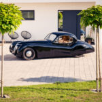 Oldtimer Jaguar XK120 1952 zum Verkauf bei TauschGarage – Ansicht 2